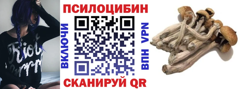 Псилоцибиновые грибы MAGIC MUSHROOMS  где найти наркотики  Тверь 