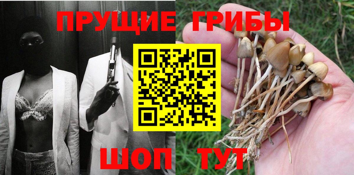 Тверь  Псилоцибиновые грибы Psilocybe  Вход с VPN 