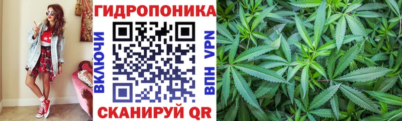 МАРИХУАНА OG Kush  закладки  Тверь 